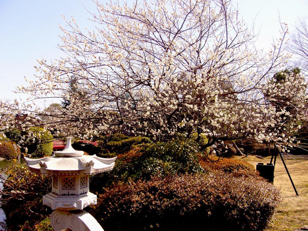 Hotel Garden Palace Кумаґая Екстер'єр фото
